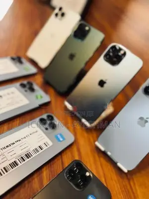 Apple iPhone 13 Pro Max 256GB (Used)