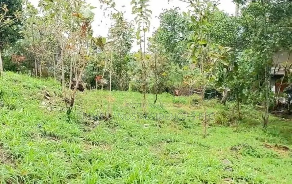 Lands for sale in Gurudeniya