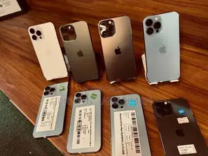 Apple iPhone 13 Pro Max 256GB (Used)