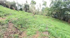 Lands for sale in Gurudeniya