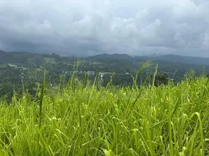 Lands for sale in Pussellwa