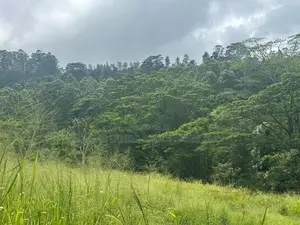 Lands for sale in Pussellwa