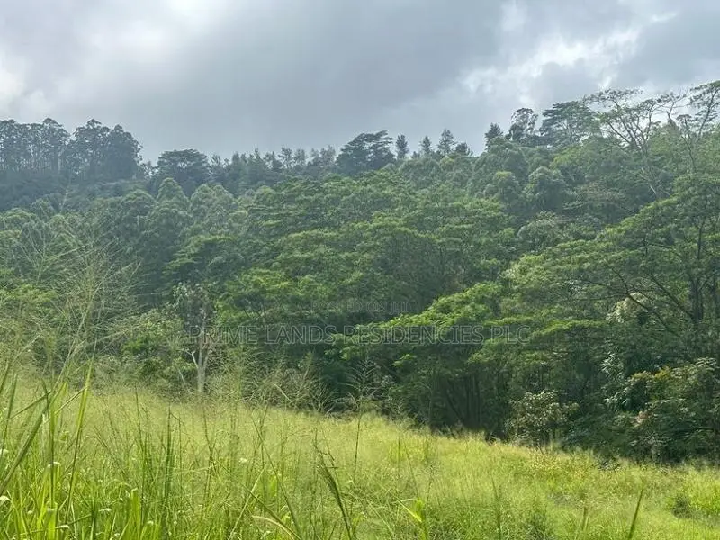 Lands for sale in Pussellwa
