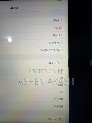 Apple iPad Air
