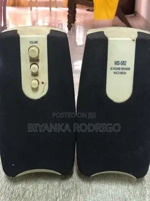 Computer Speakers