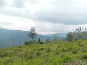 View Point Land for Sale Nuwara Eliya