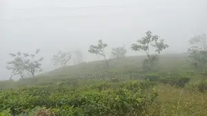 Land for sale Nuwara Eliya Road pundaluoya