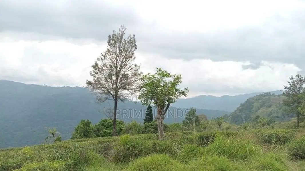 Land for sale Nuwara Eliya Road pundaluoya