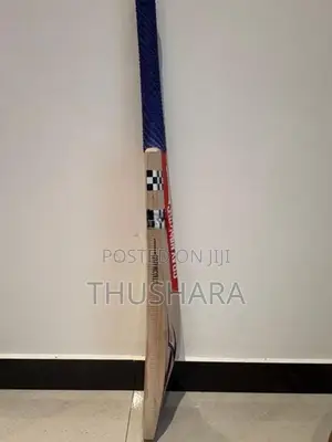 Gray Nicolls Blitz Bat