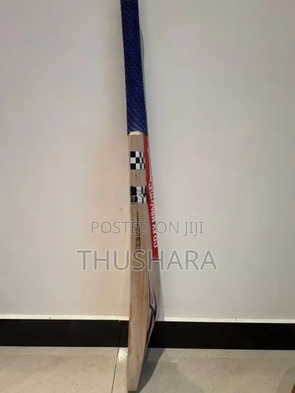 Gray Nicolls Blitz Bat