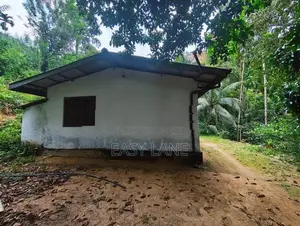 ගත්ත ගමන් ආදායමක් ගන්න අක්කර 6.5 ක ඉඩම හා නිවස
