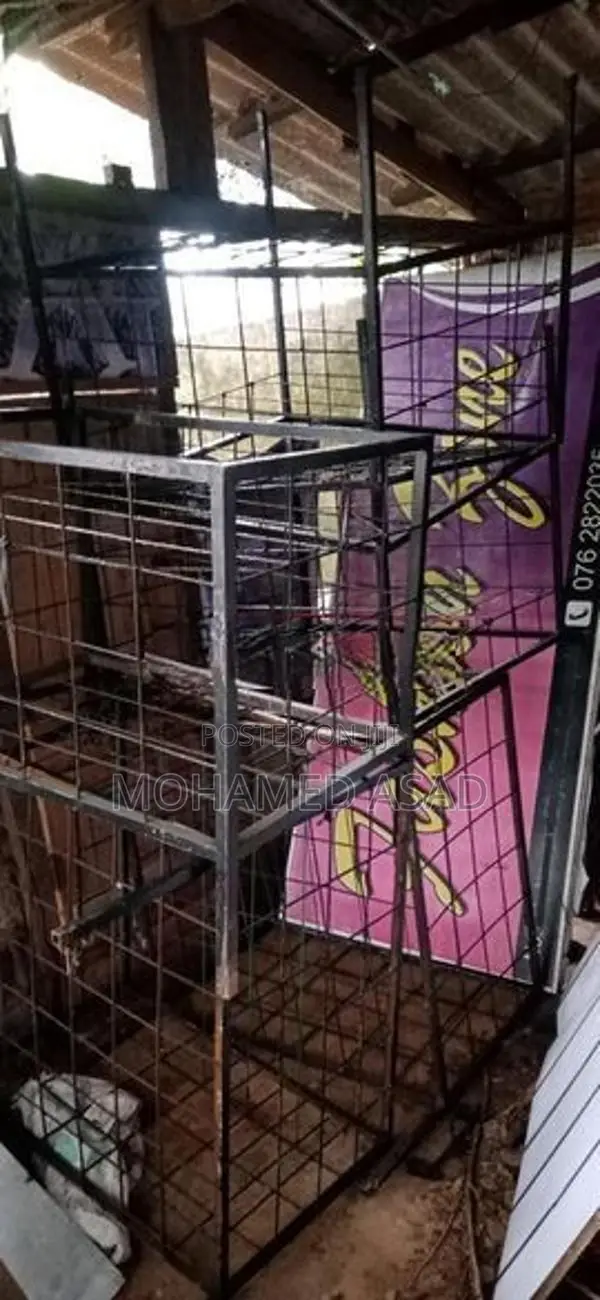 Bird Cage