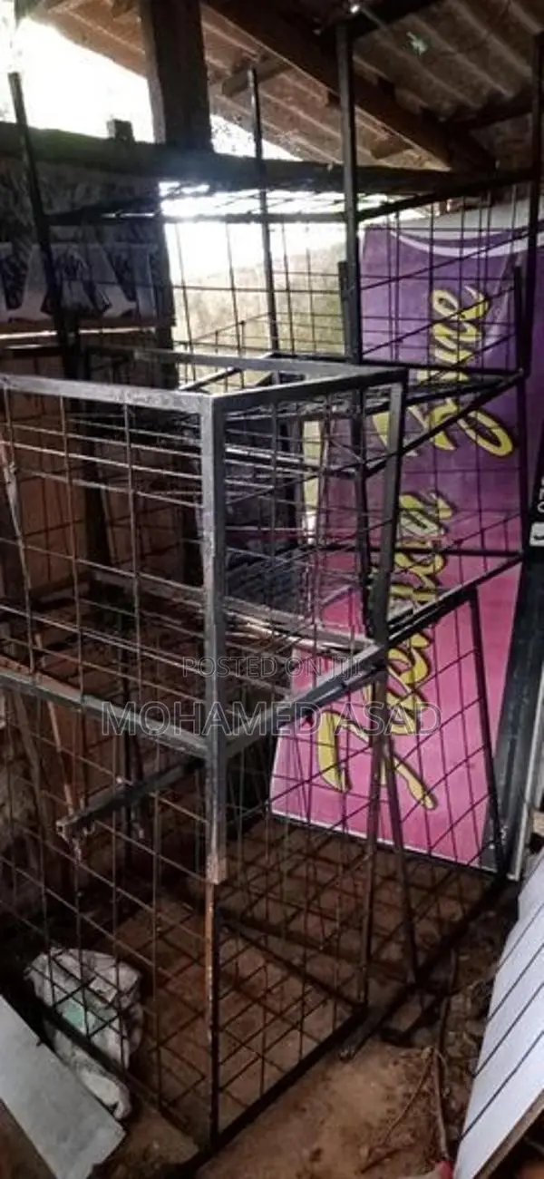 Bird Cage
