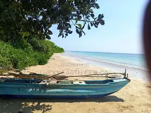 Passikuda,81 Mtrs Of Private Beach Frontend Bare Land For Rent (NZM111