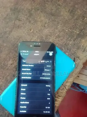 Apple iPhone 7 (Used)