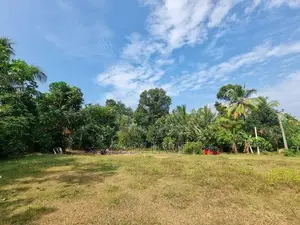 Land For Sale In Aththanagalla