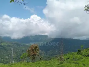 View Point Land Nuwaraeliya Road