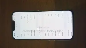 Apple iPhone 13 Pro Max 12 (Used)