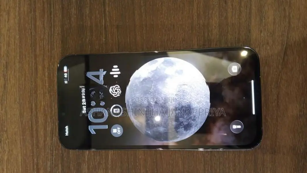 Apple iPhone 13 Pro Max 12 (Used)