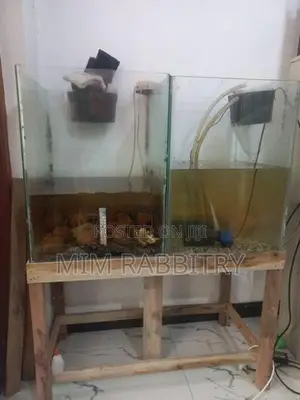 1.5*1.5*2 Feet Tanks