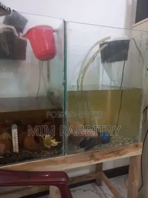 1.5*1.5*2 Feet Tanks