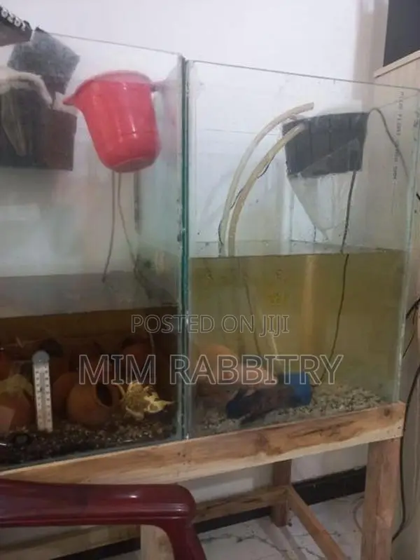 1.5*1.5*2 Feet Tanks