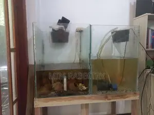 1.5*1.5*2 Feet Tanks