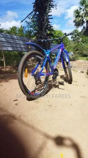 Bicycle