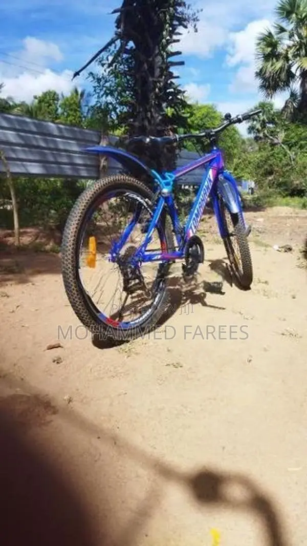 Bicycle