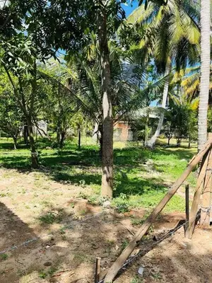 Land For Sale in Negombo