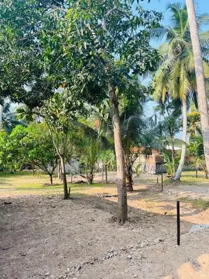 Land For Sale in Negombo