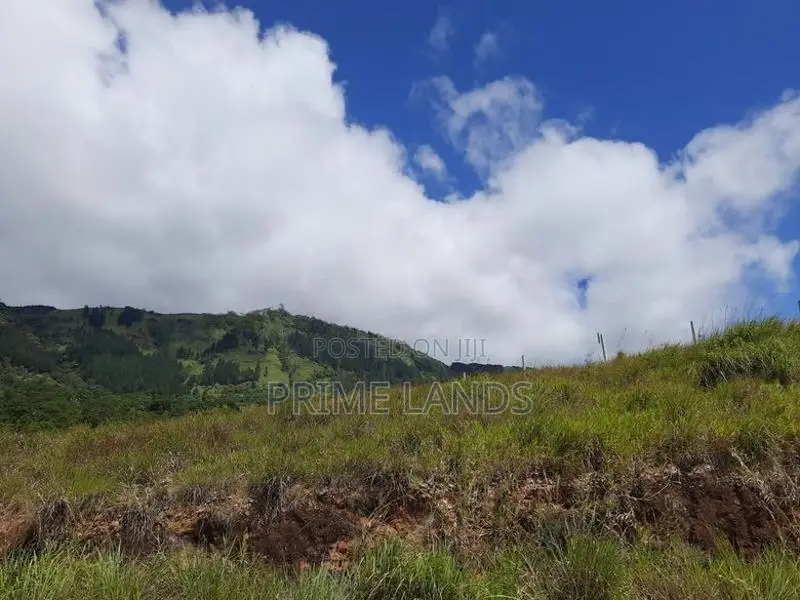 View Point Land for Sale Delthota