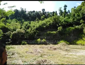 Land For Sale In Kurunegala - CL840