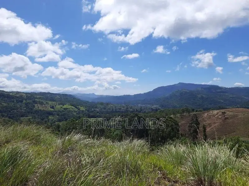 View Point Land for Sale Delthota