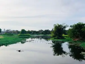 (AFA81) 13.5 P Land Sale At Suriyamal Mawatha Delkada Nugegoda