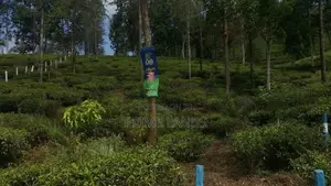 View Point Land for Sale Delthota