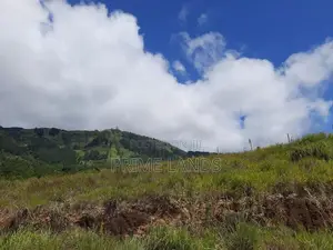 View Point Land for Sale Delthota
