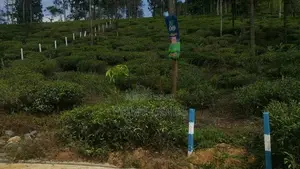 View Point Land for Sale Delthota