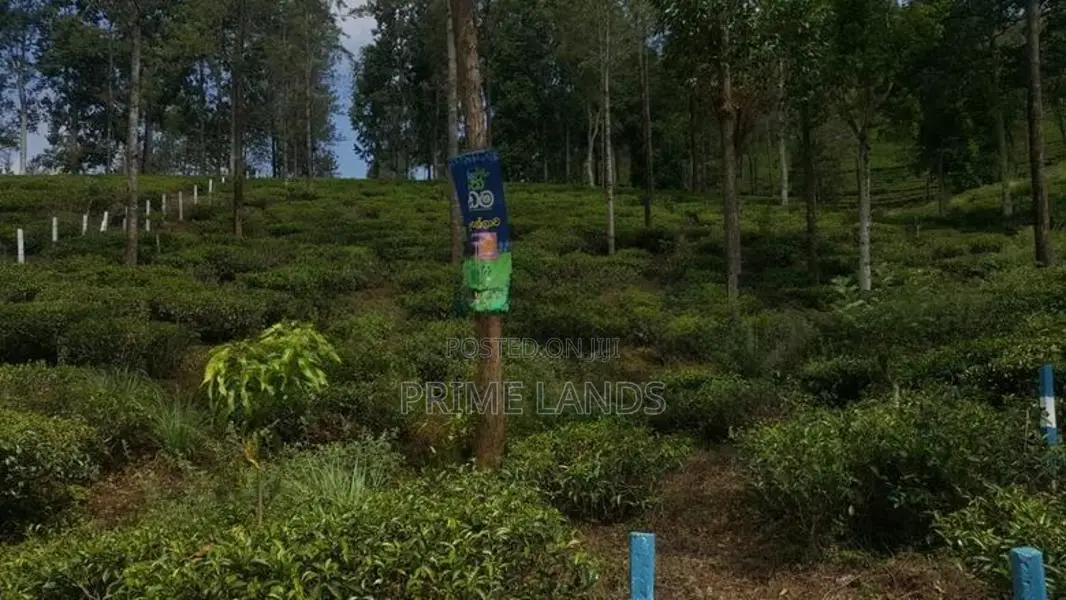 View Point Land for Sale Delthota
