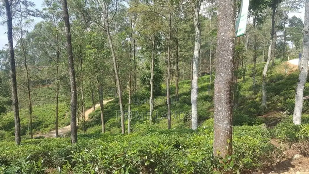 View Point Land for Sale Delthota