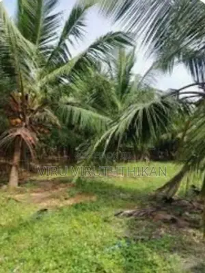 House with Land for Sale Kilinochchi