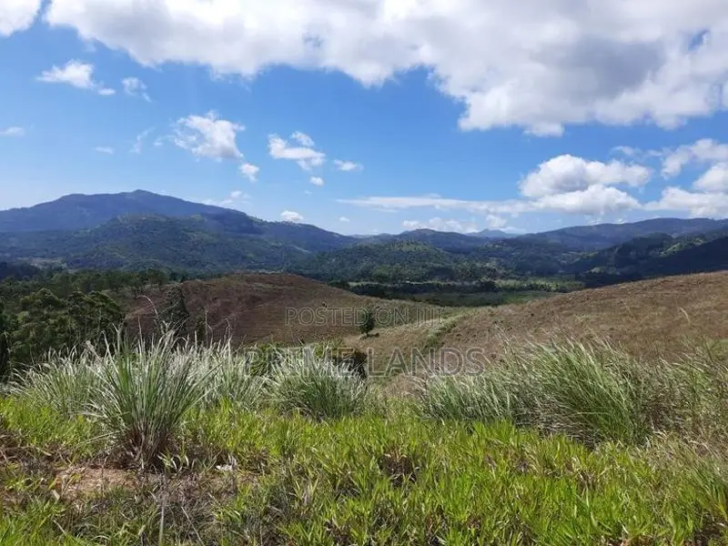 View Point Land for Sale Delthota