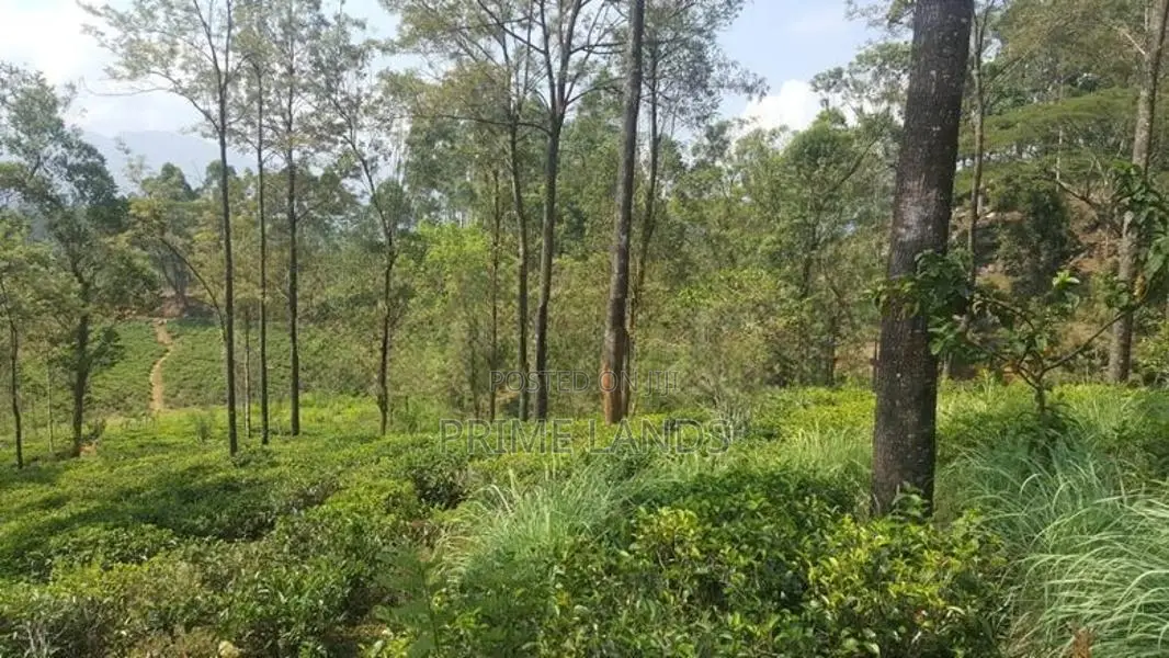 View Point Land for Sale Delthota