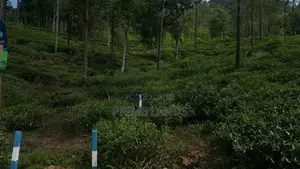 View Point Land for Sale Delthota