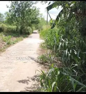 වටිනා ඉඩම විකිණීමට පැලවත්ත