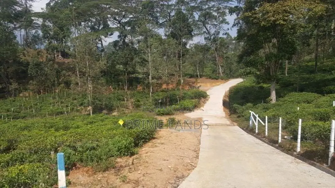 View Point Land for Sale Delthota Road