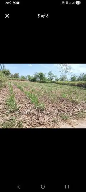 වටිනා ඉඩම විකිණීමට පැලවත්ත