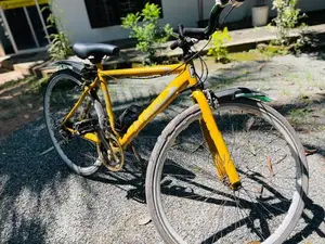 Japan Bicycle Hybrid
