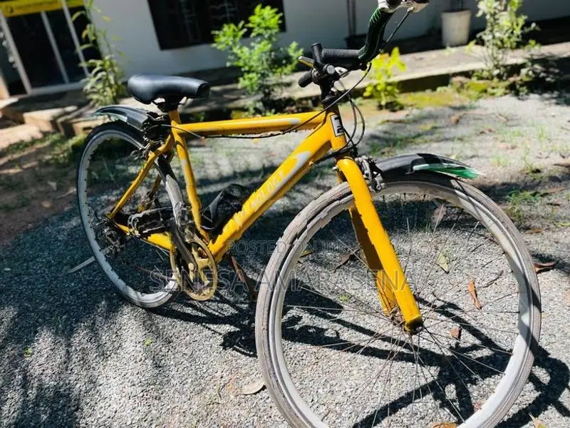 Japan Bicycle Hybrid
