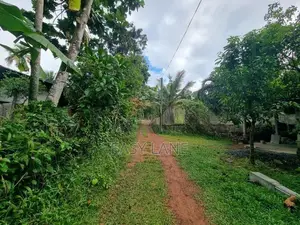 වේයන්ගොඩ අධිවේගී පිවිසුමට විනාඩි 10 න් වටිනා ඉඩමක්